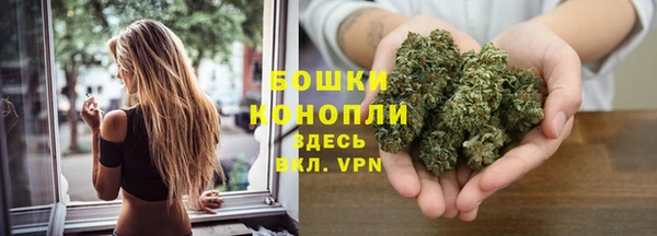 сатива Арсеньев