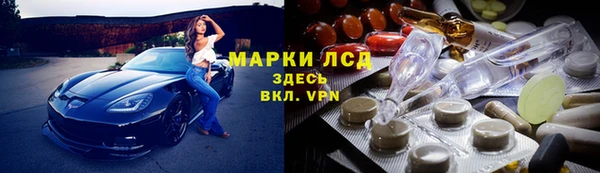 сатива Арсеньев