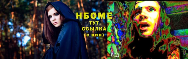 сатива Арсеньев