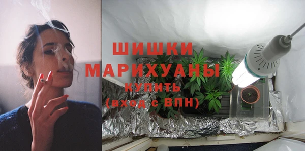 сатива Арсеньев