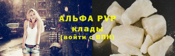 сатива Арсеньев