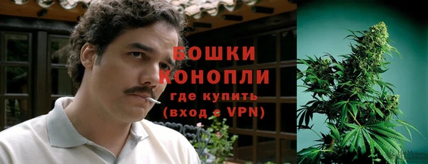 сатива Арсеньев