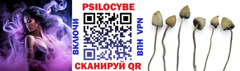 гидра как войти  Саяногорск  Псилоцибиновые грибы мицелий  наркотики 